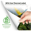 Phomemo A4 thermal paper, BPA-free and environmentally friendly